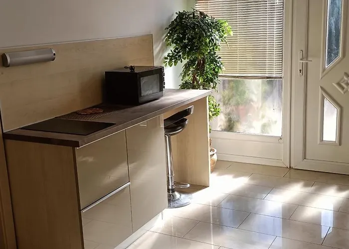 Farao Vendeghaz בית הארחה